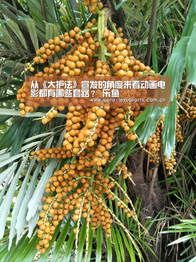 从《大护法》宣发的角度来看动画电影都有哪些套路?_乐鱼(图3) 乐鱼
