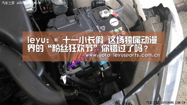 leyu：*
十一小长假 这场独属动漫界的“粉丝狂欢节”你错过了吗？(图1)